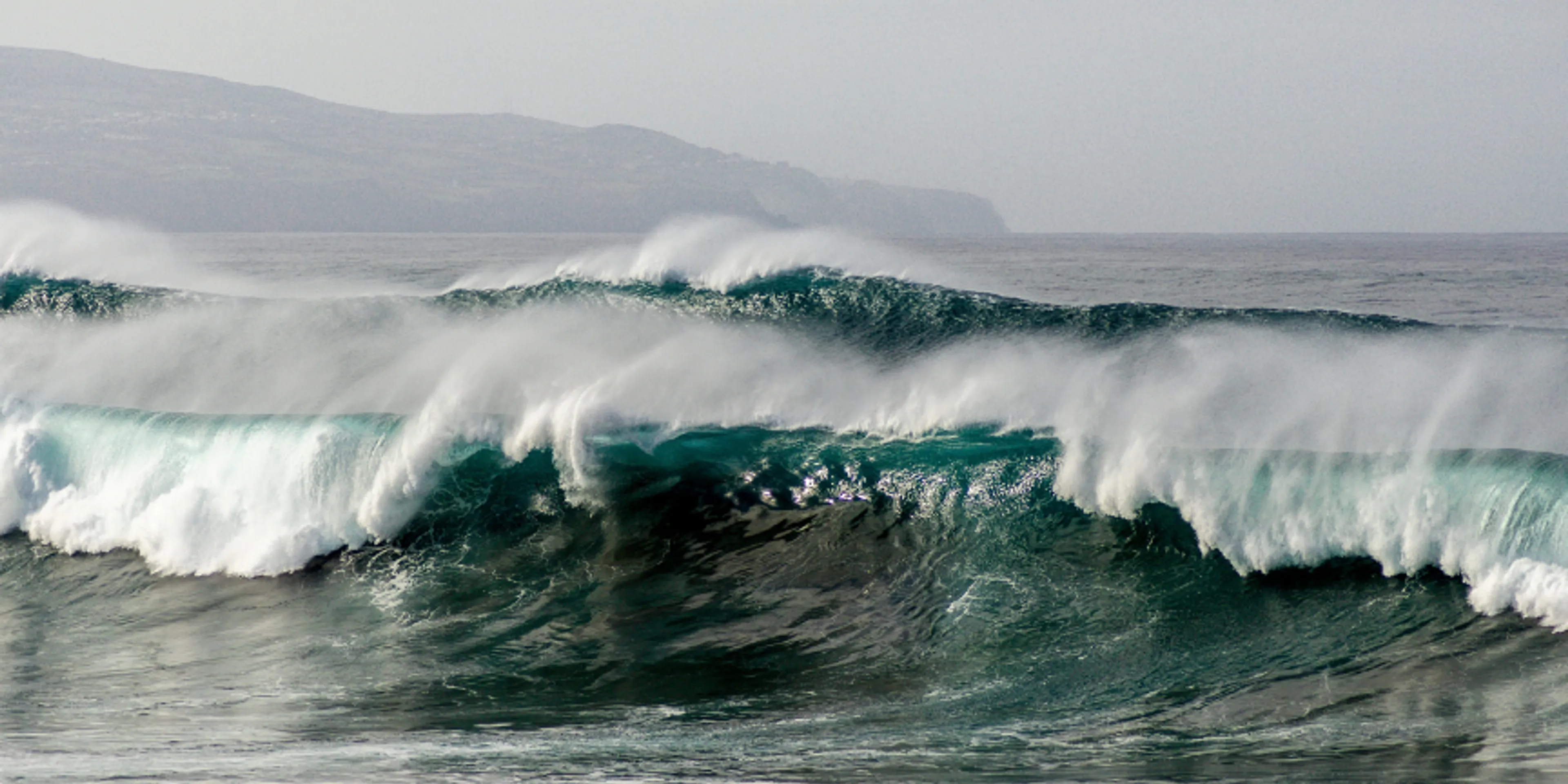 Olas