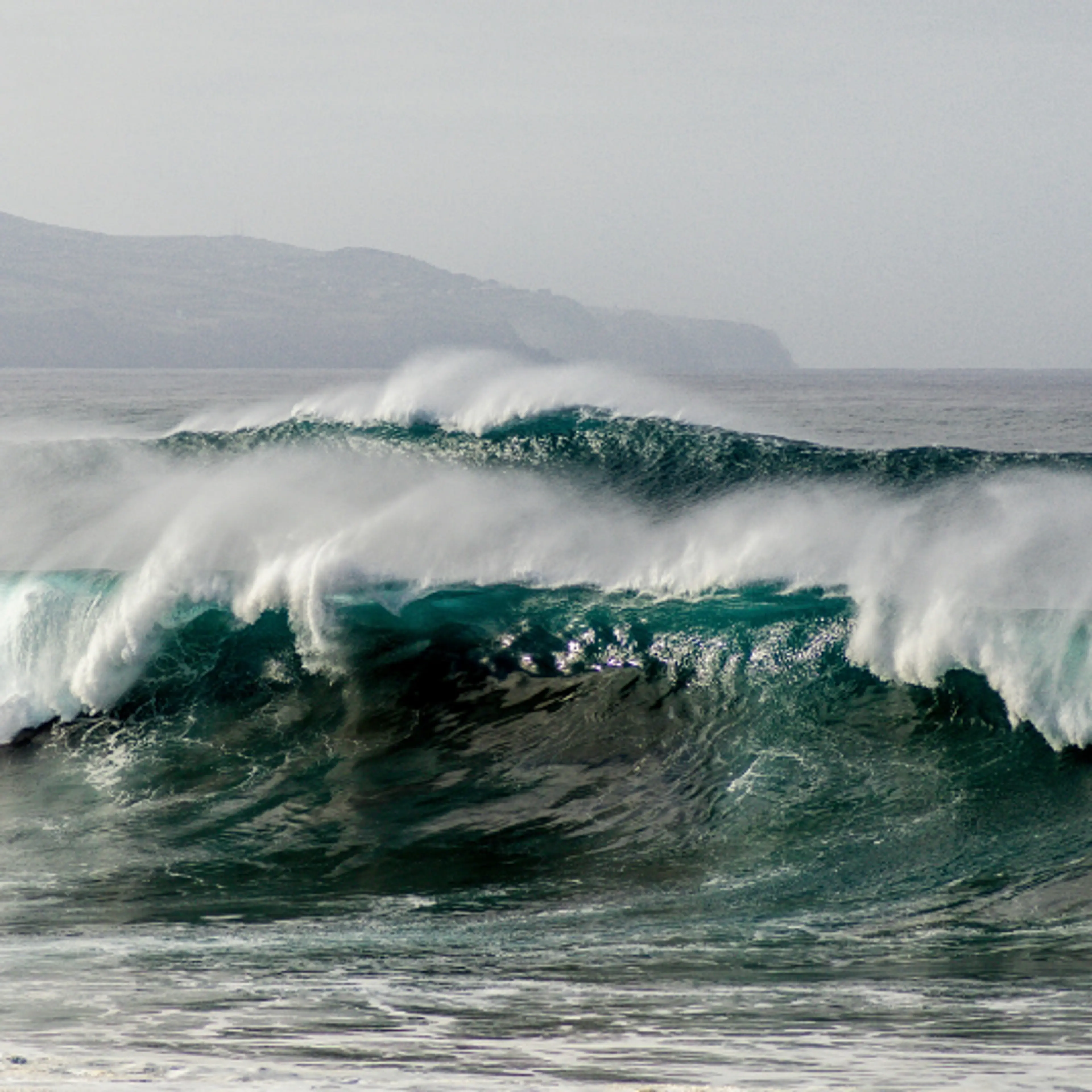 Olas