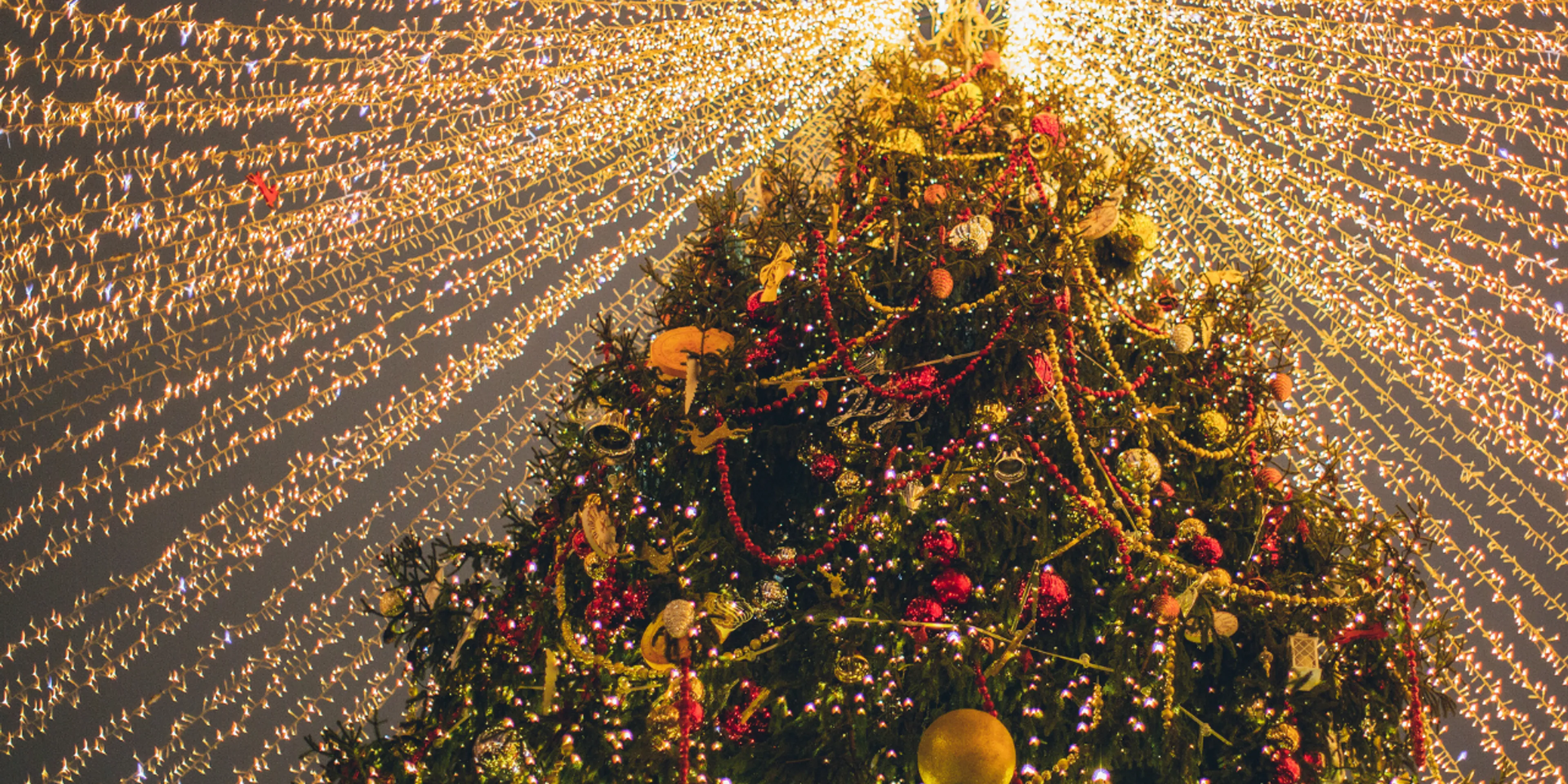 Agenda navideña 2024