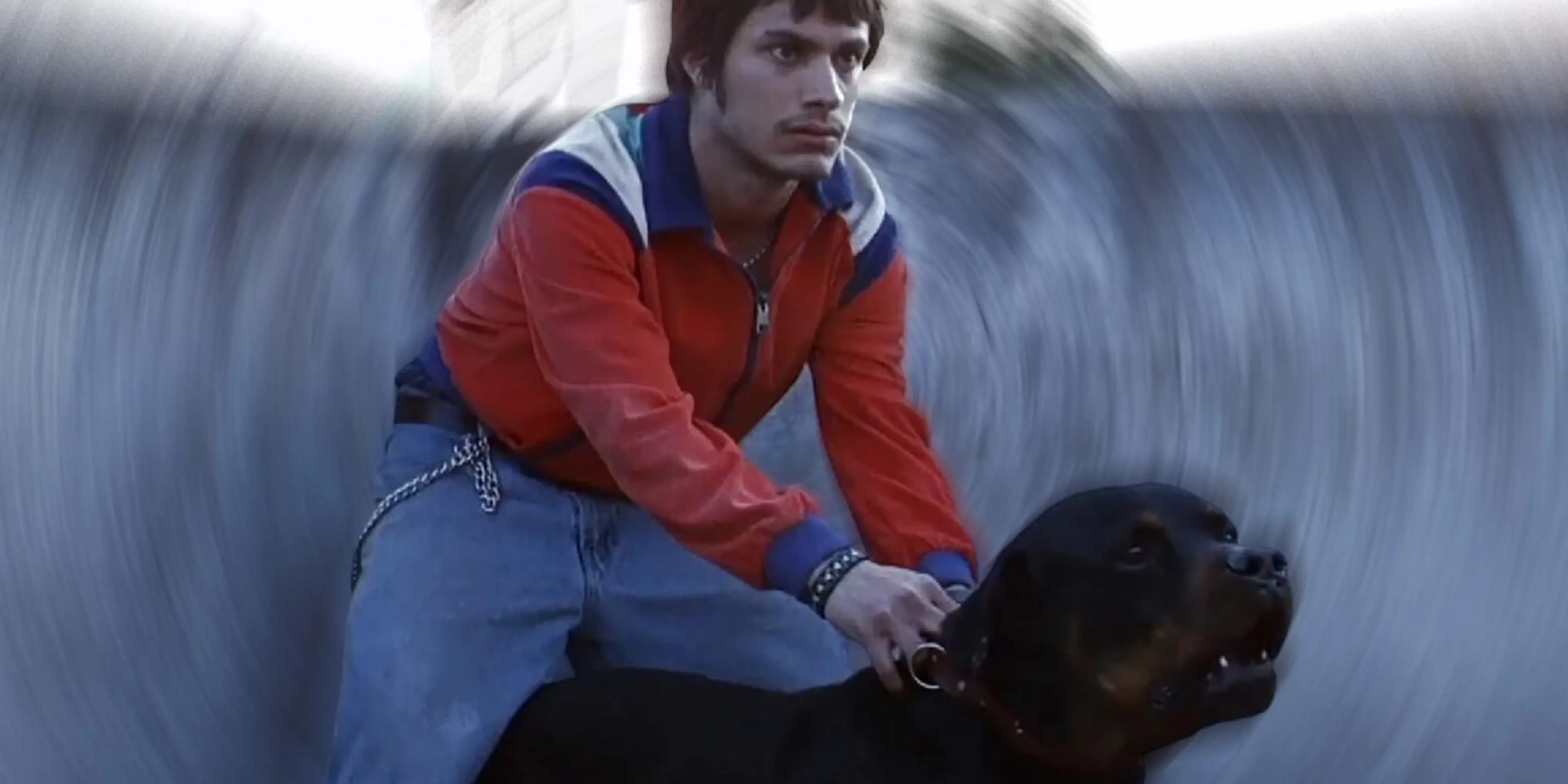 Amores perros