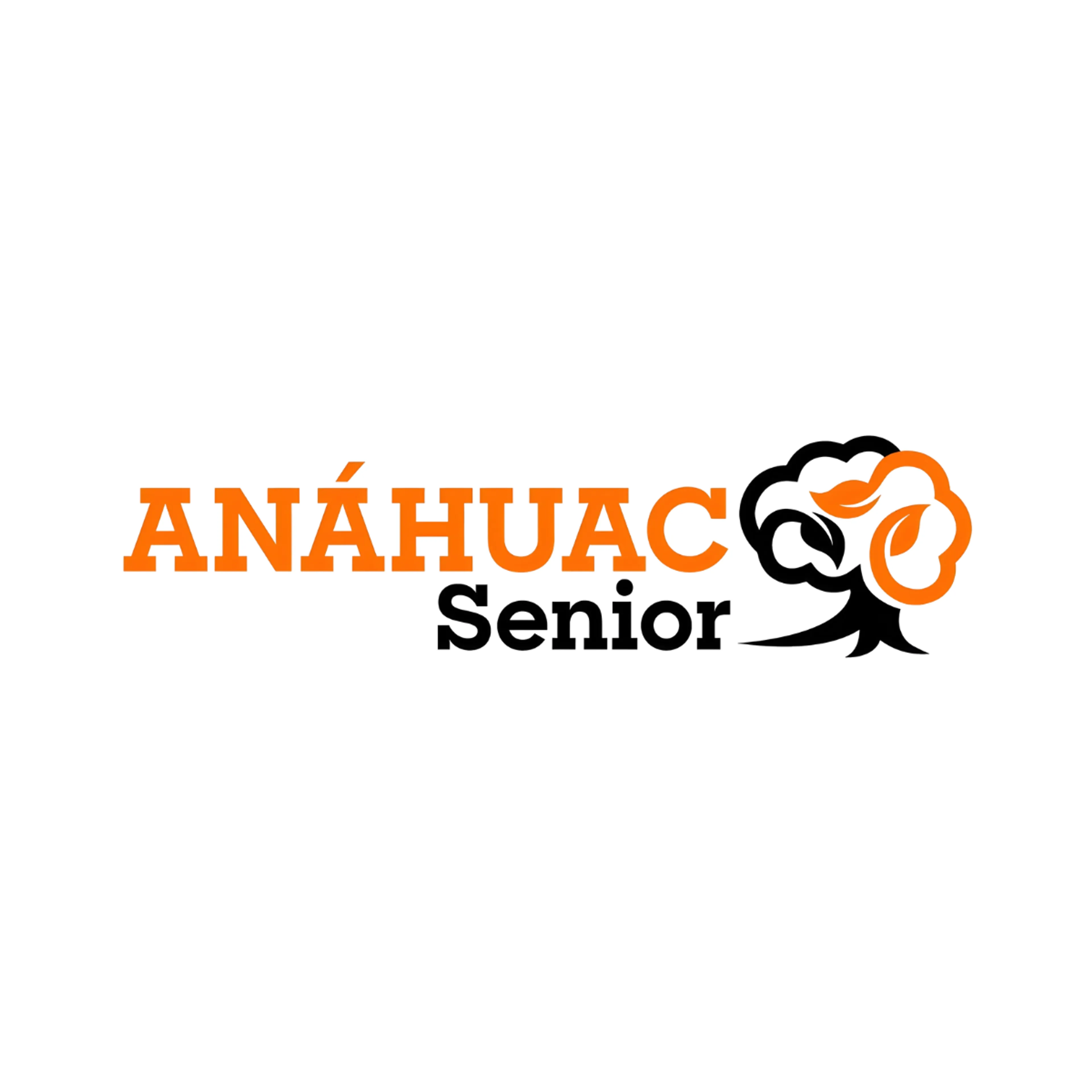 Logo Anáhuac senior