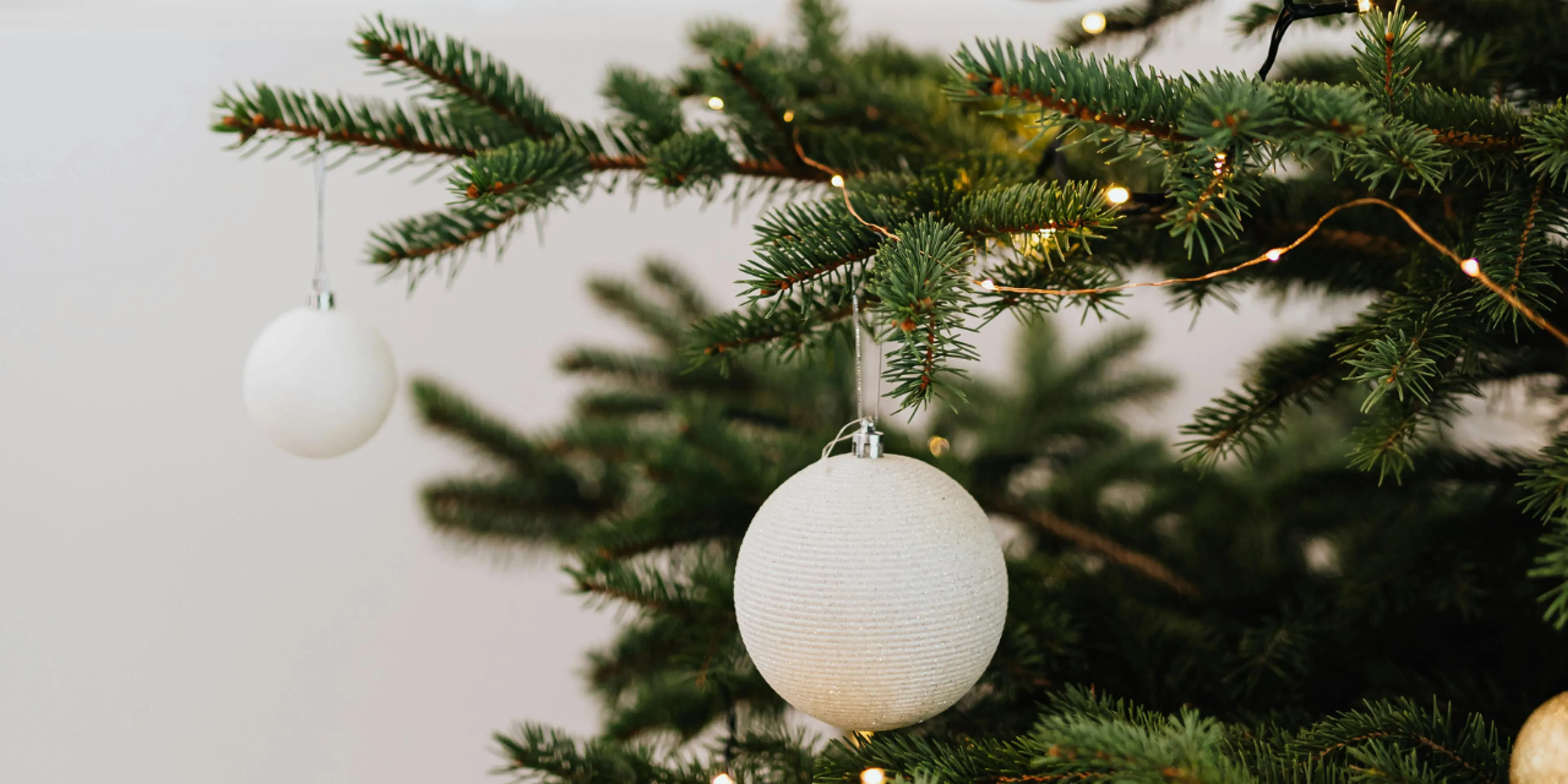 ¿Qué significa realmente el árbol de Navidad?