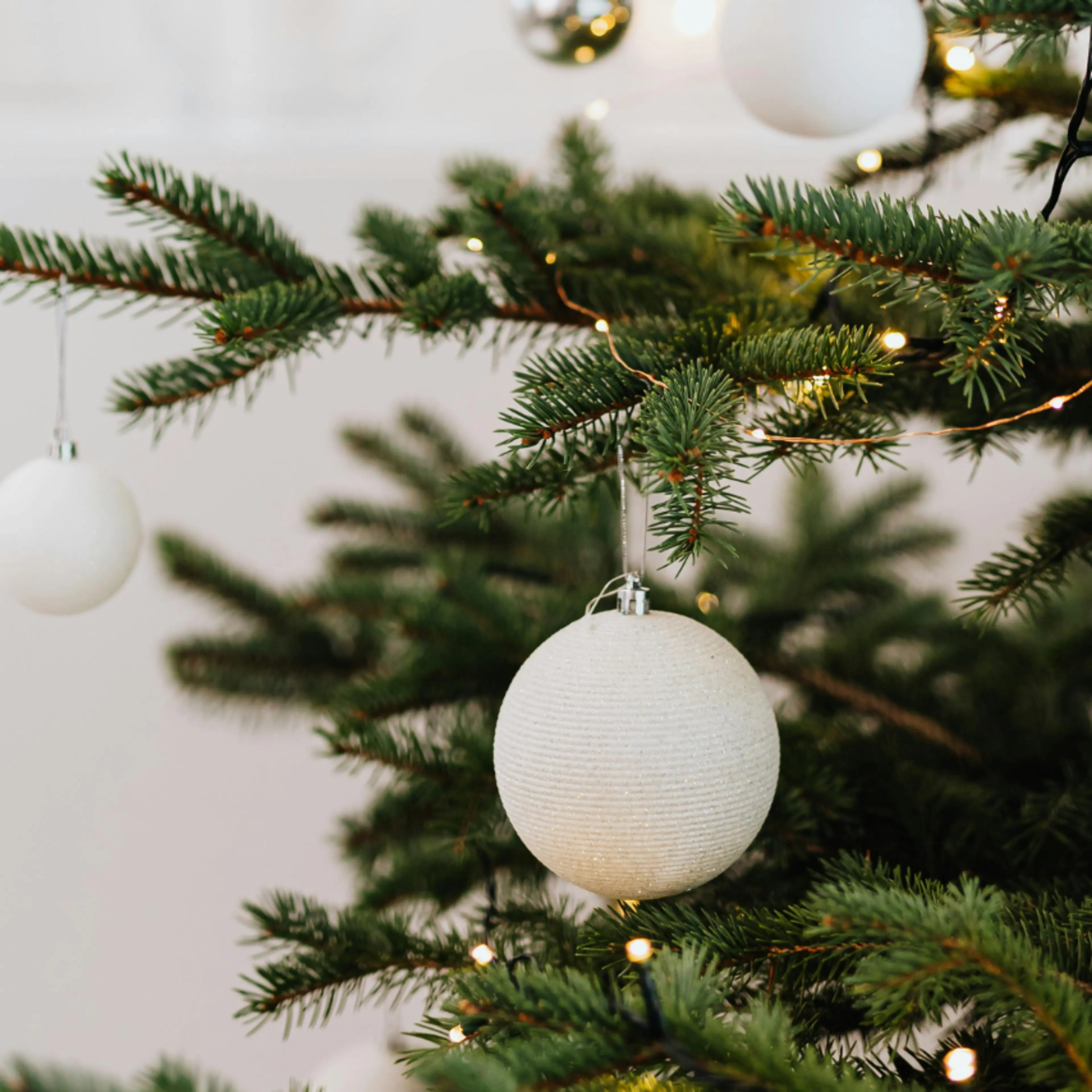 ¿Qué significa realmente el árbol de Navidad?