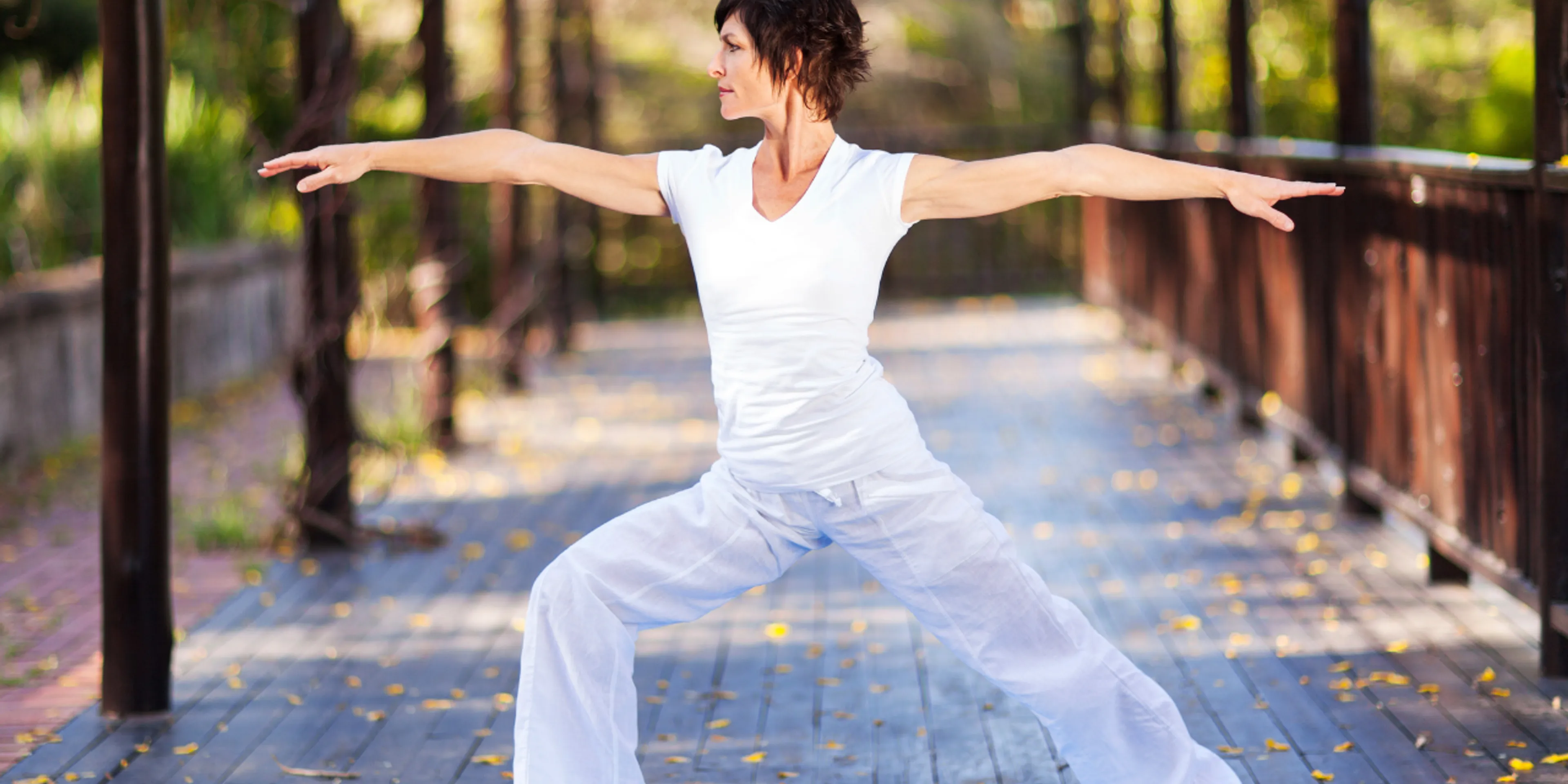 Hatha vs Vinyasa Yoga: ¿Cuál es el mejor para seniors?