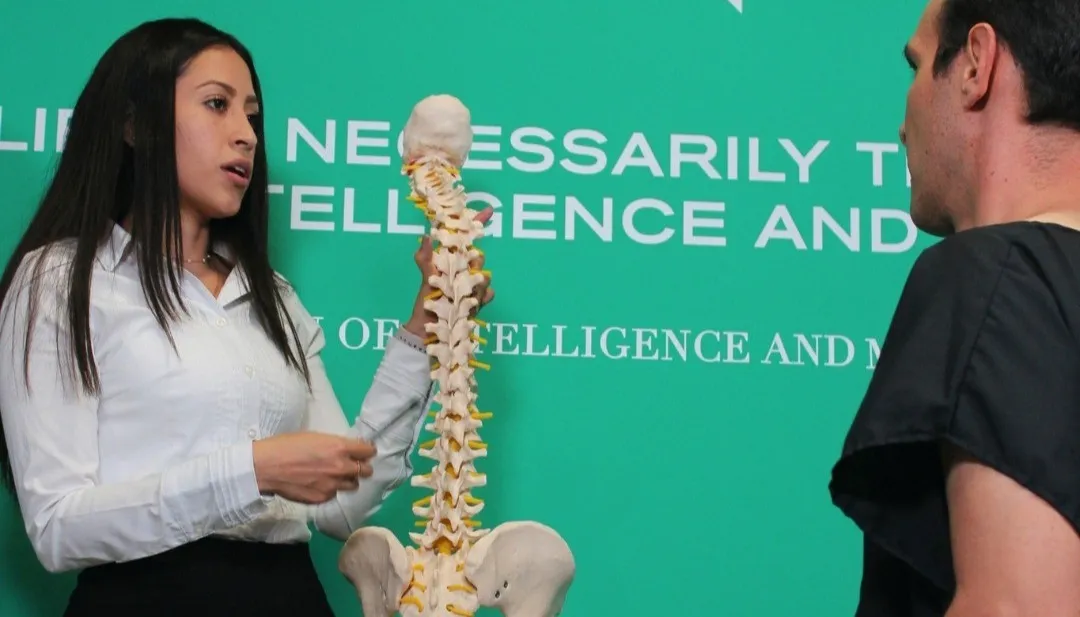 Quiropráctica en Innate: especialista mostrando a un paciente un modelo anatómico de la columna vertebral durante una explicación sobre salud postural y cuidado de la columna.