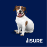 iSure