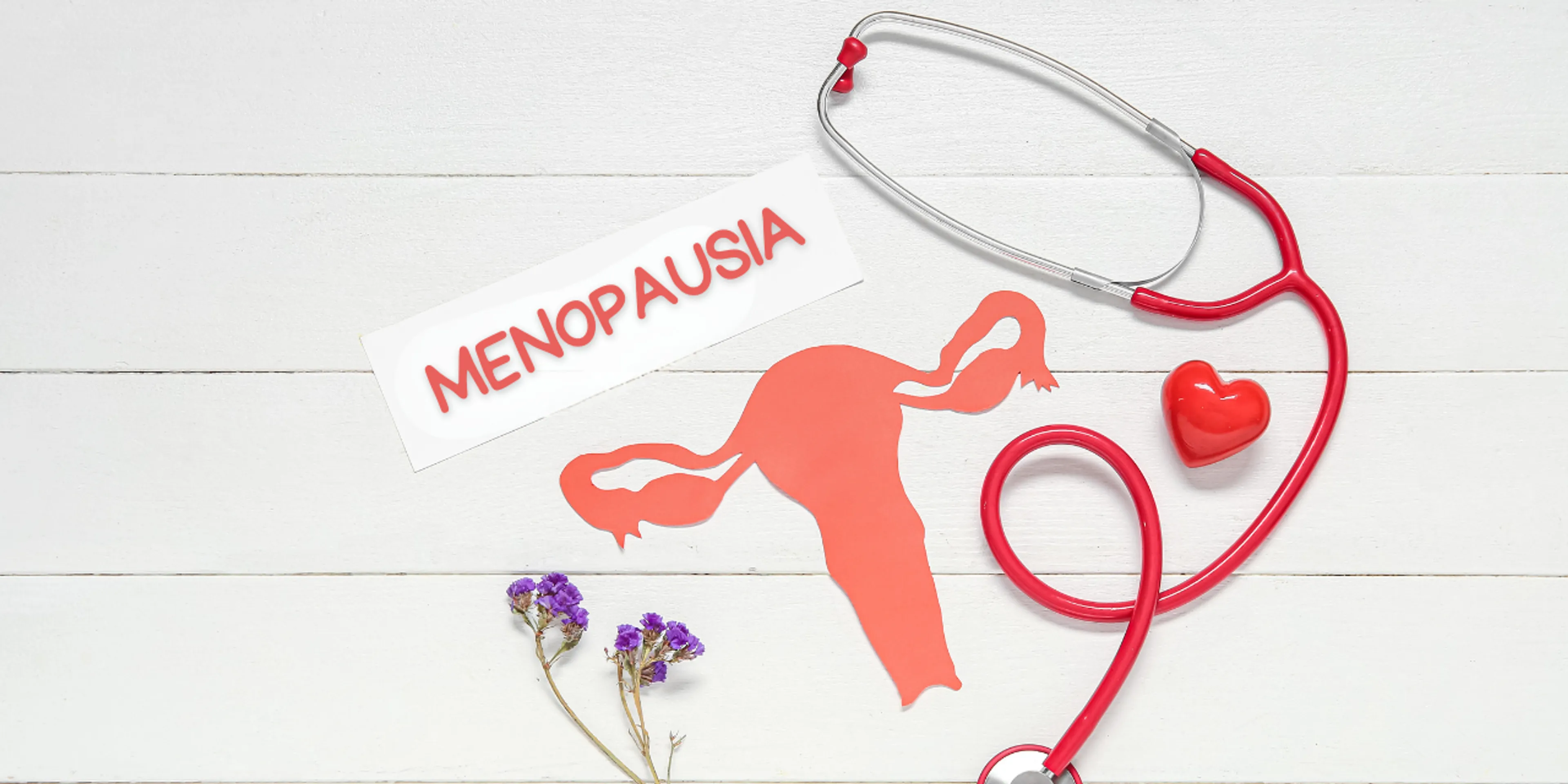 Menopausia explicada para toda la familia