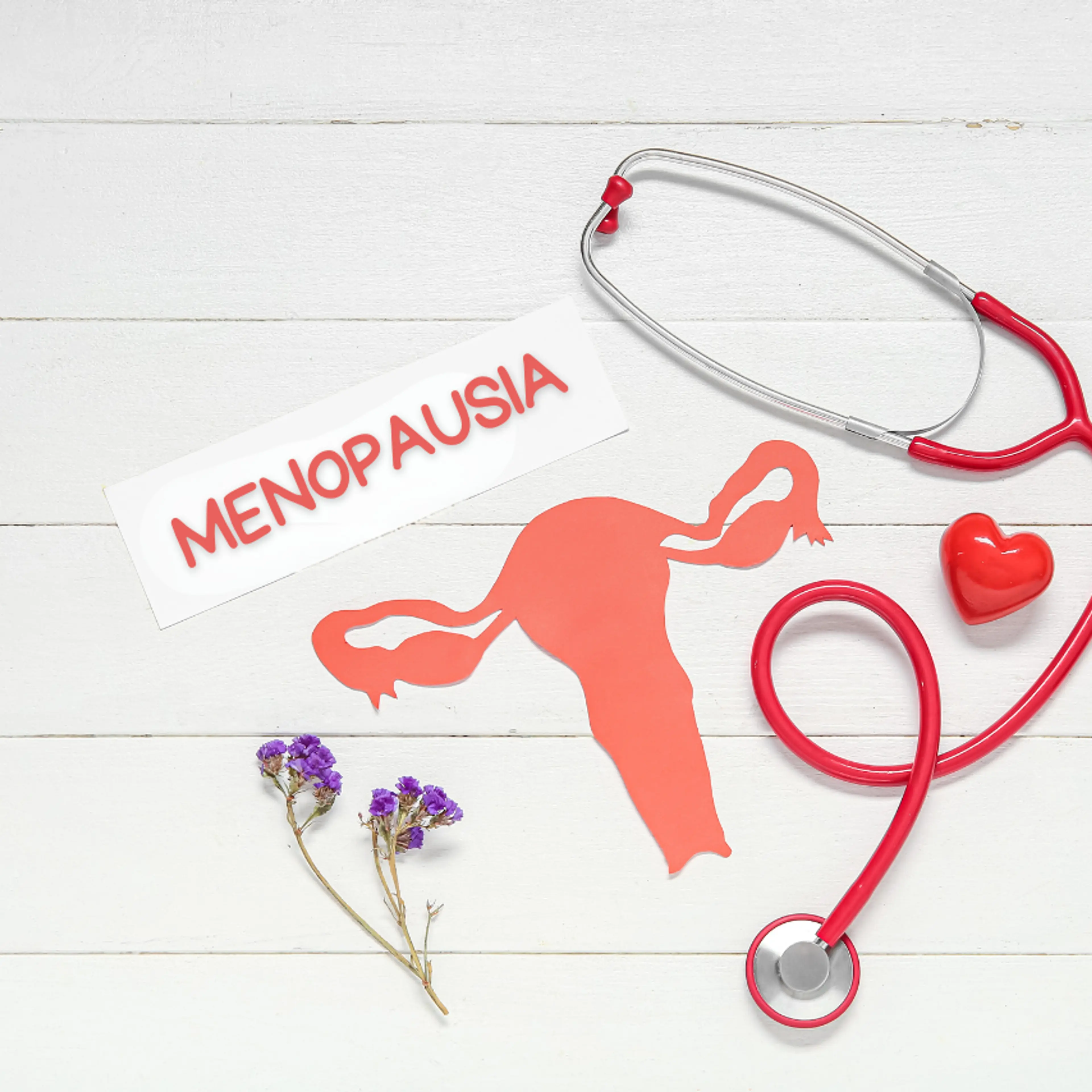 Menopausia explicada para toda la familia