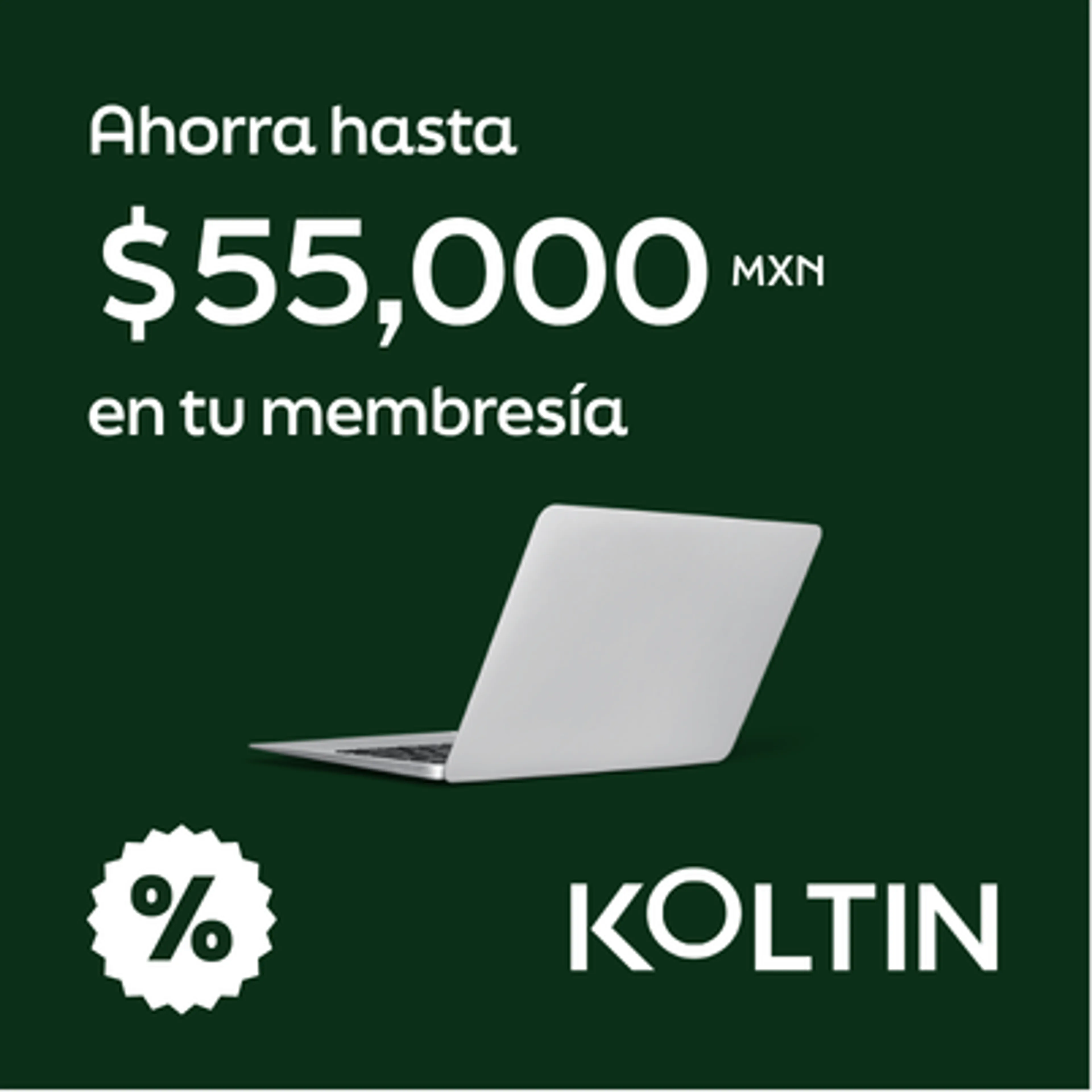 koltin soy+ logo