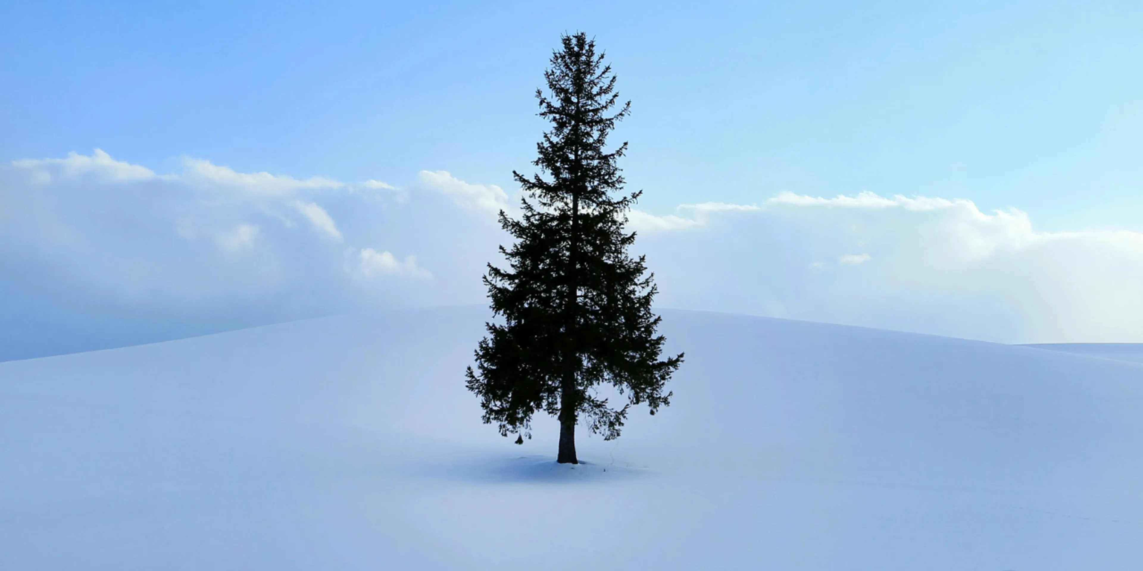 Soledad en navidad: consejos para enfrentarla