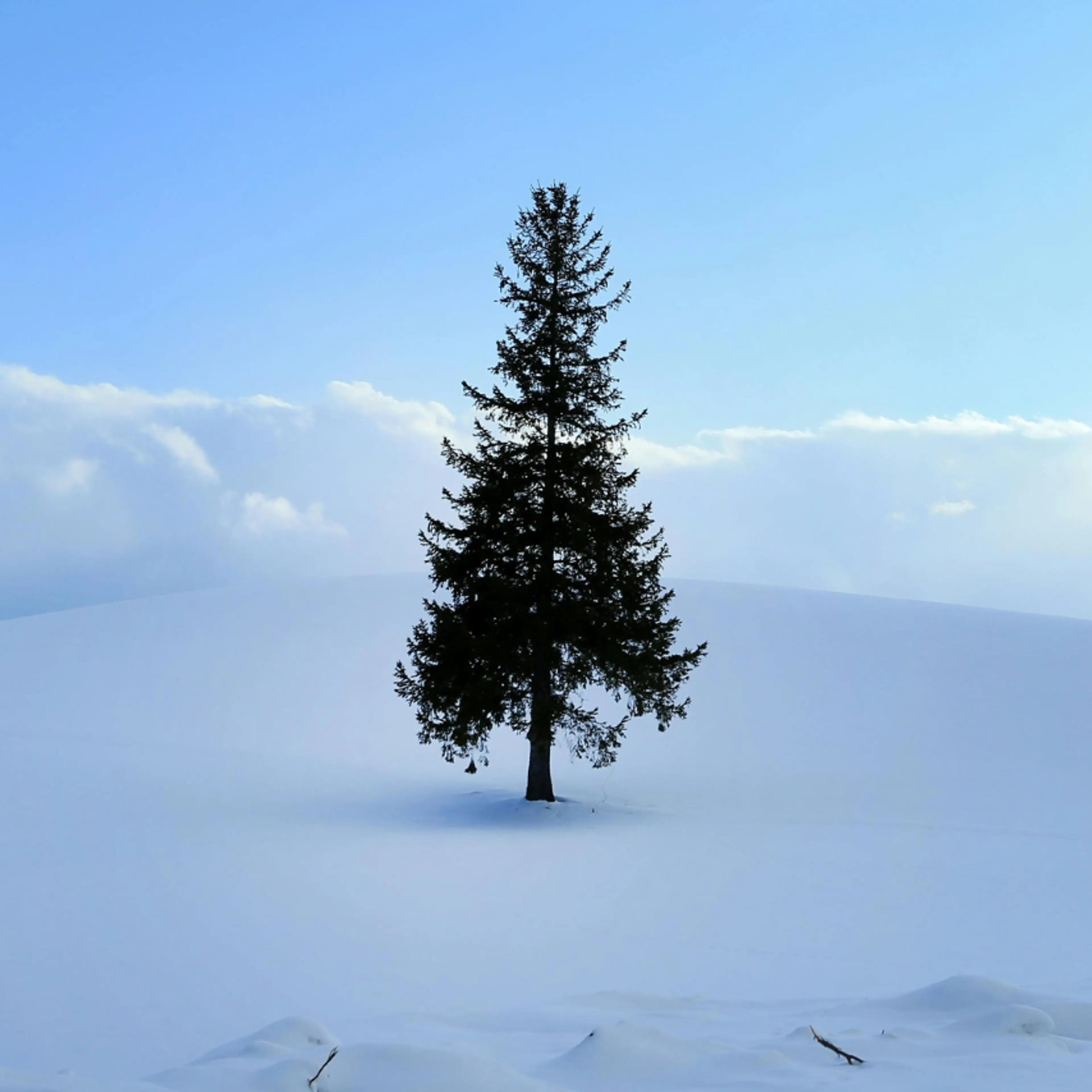 Soledad en navidad: consejos para enfrentarla