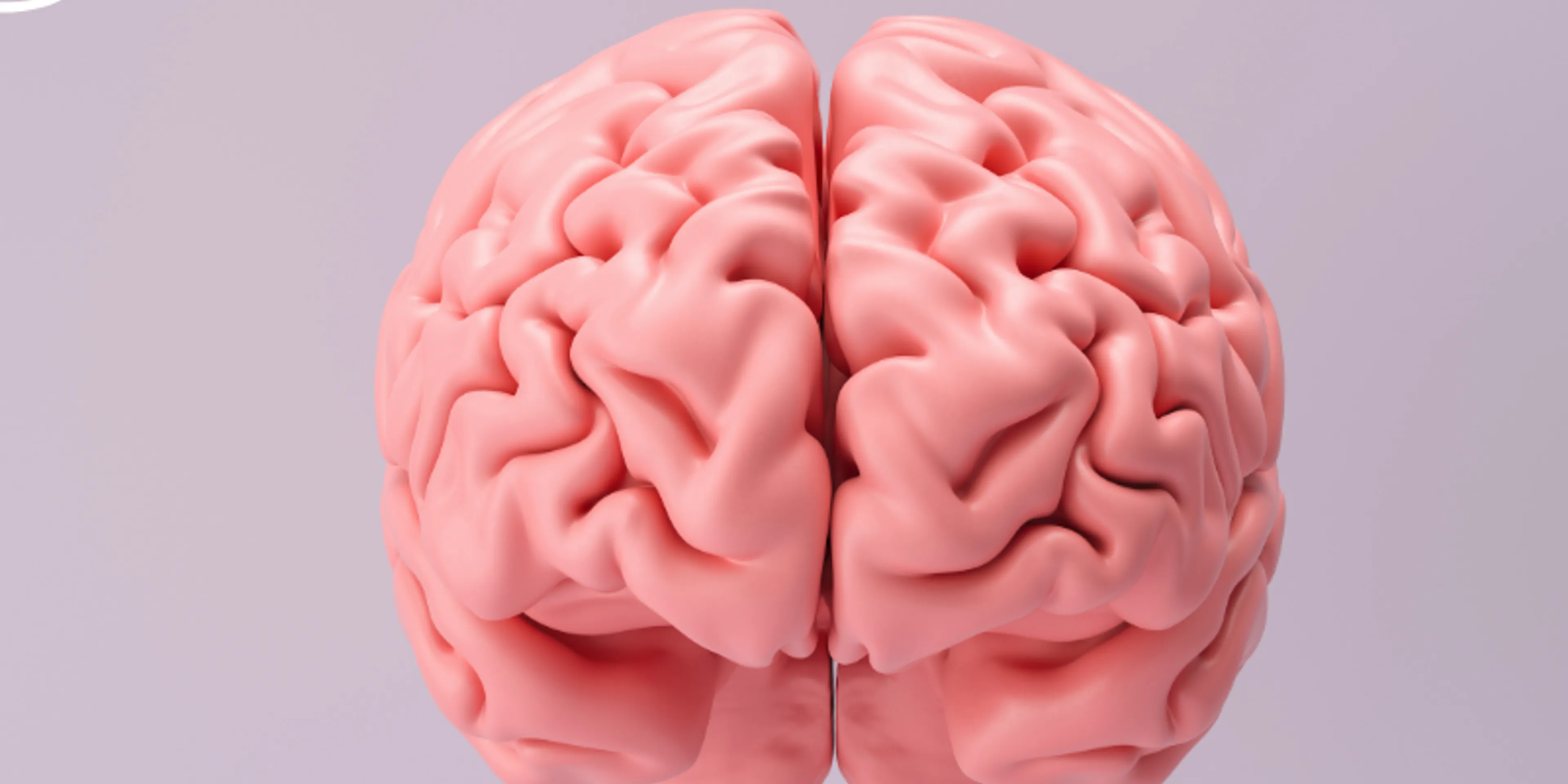 Cómo el cerebro nunca deja de aprender