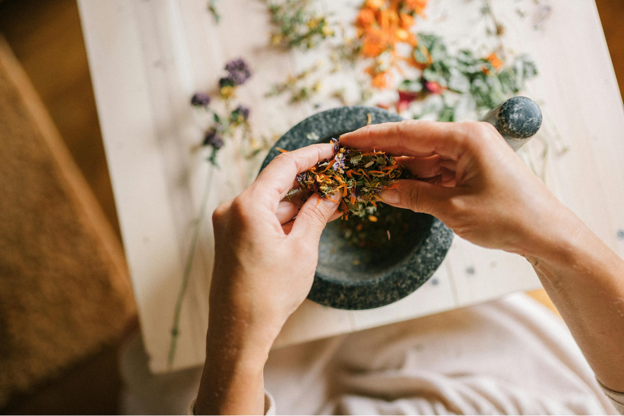 Plantas medicinales en casa