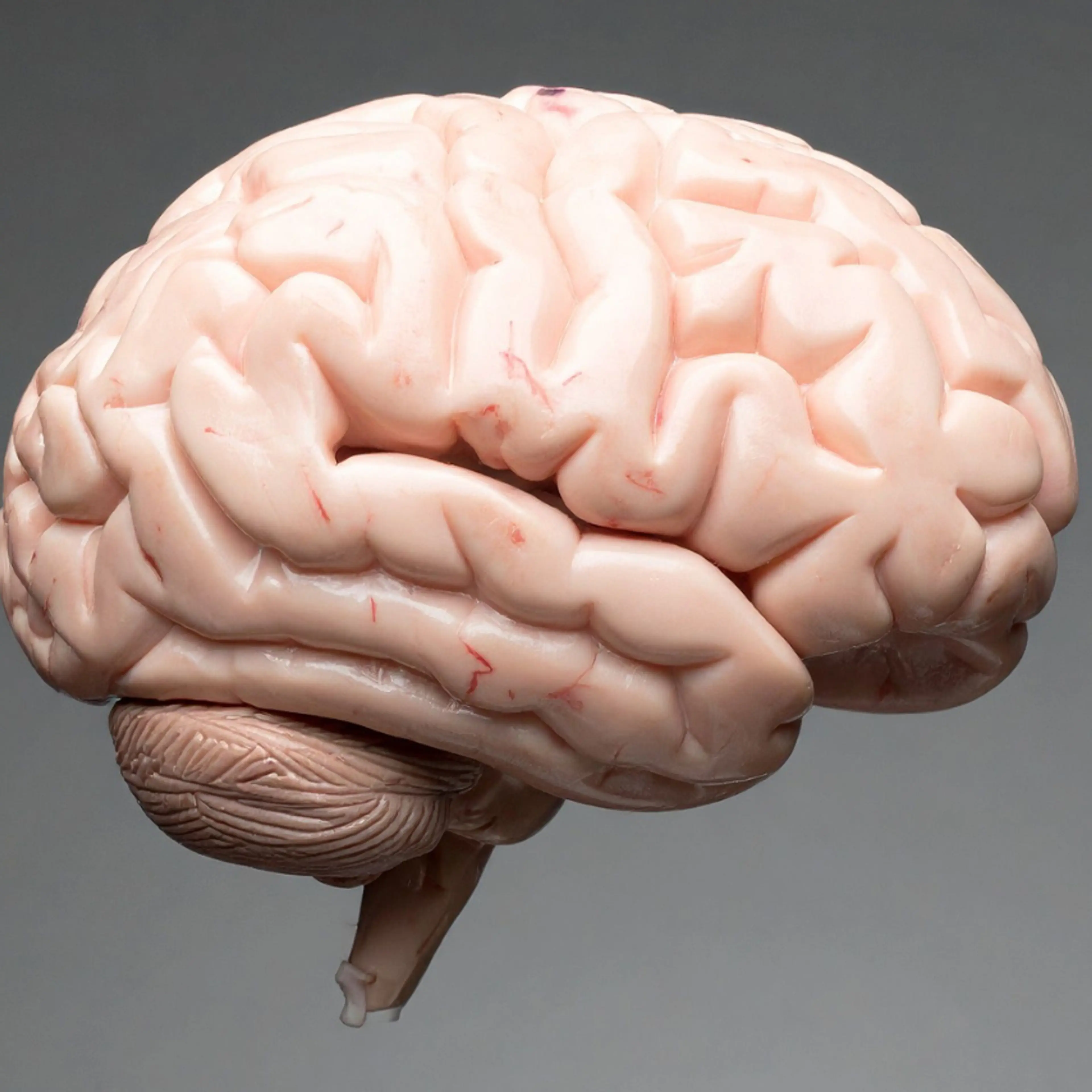 8 hábitos para mantener saludable el cerebro en la longevidad