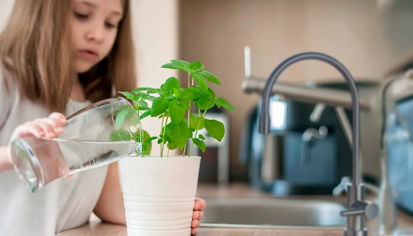 niña regando planta