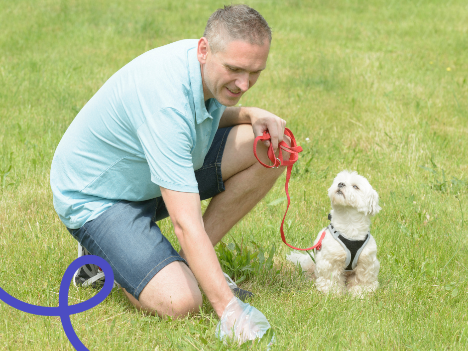 Por qué los perros comen su popo