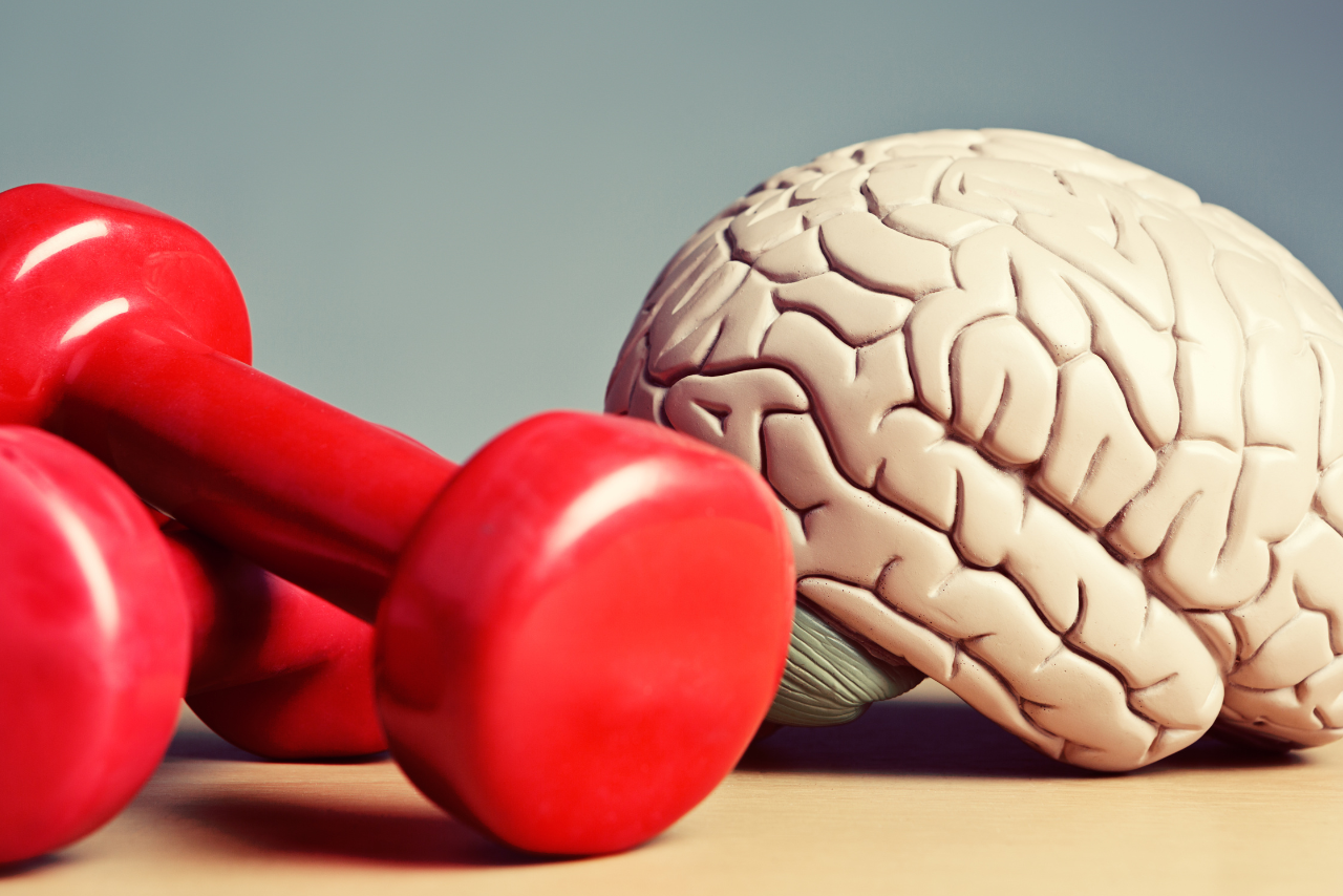 Cómo ejercitar el cerebro al hablar