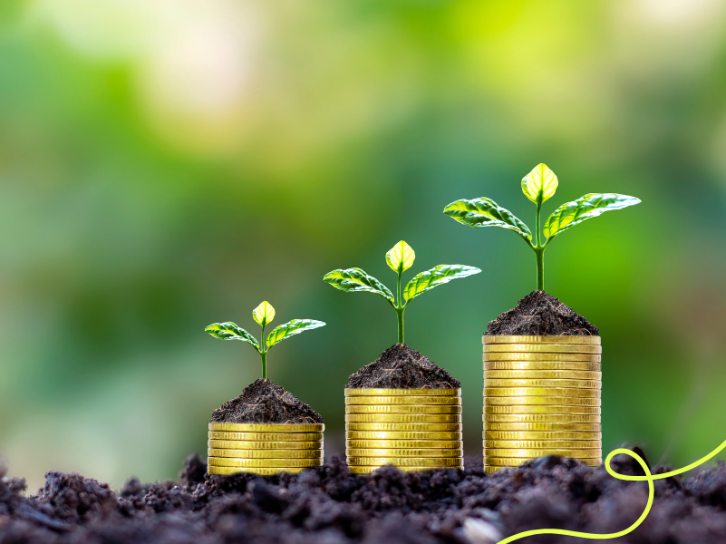 Fecha de pagos pensión Bienestar septiembre 2024