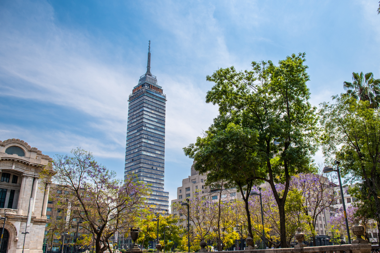 Itinerario de bajo costo para recargar energía el domingo en la CDMX