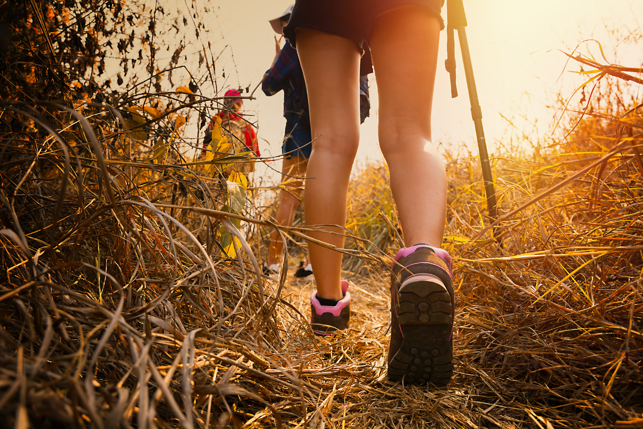 Mejores rutas de senderismo en México para caminar y conectar con propósito