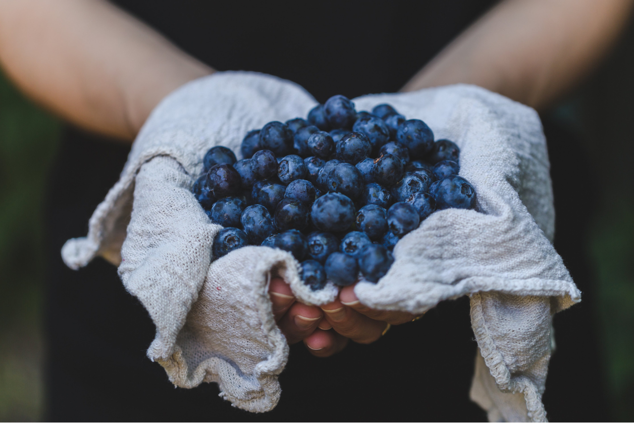 Hands holding blueberries