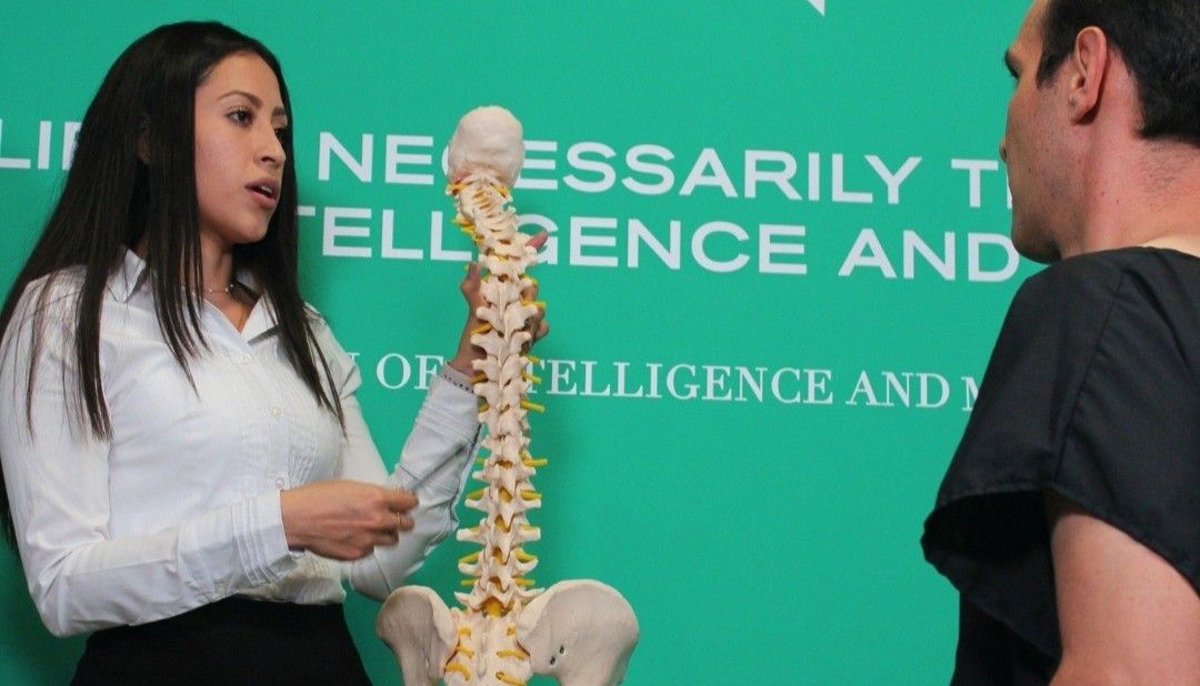Quiropráctica en Innate: especialista mostrando a un paciente un modelo anatómico de la columna vertebral durante una explicación sobre salud postural y cuidado de la columna.