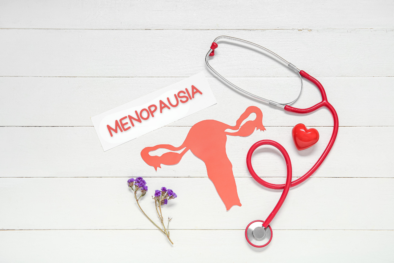 Menopausia explicada para toda la familia