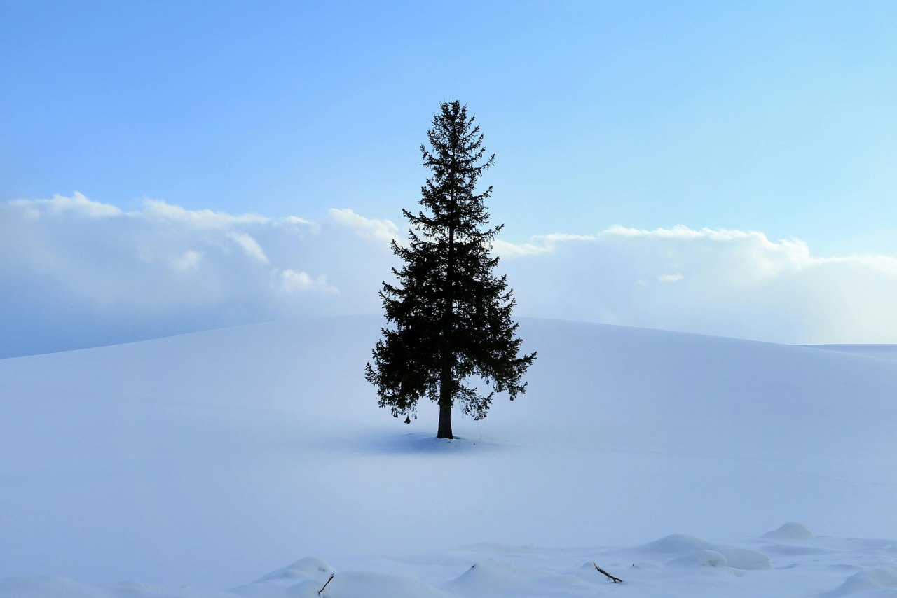 Soledad en navidad: consejos para enfrentarla