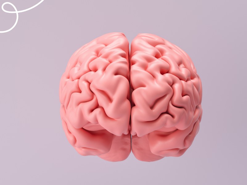 Cómo el cerebro nunca deja de aprender