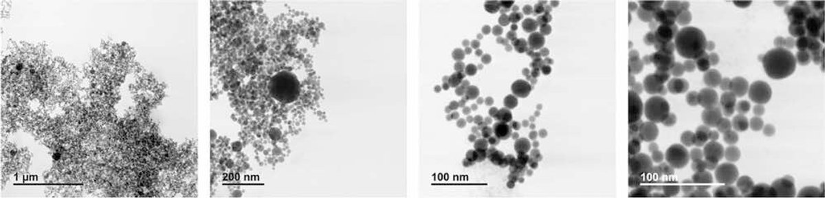 STEM images of precipitate from EVQ-218 exposed to MHW