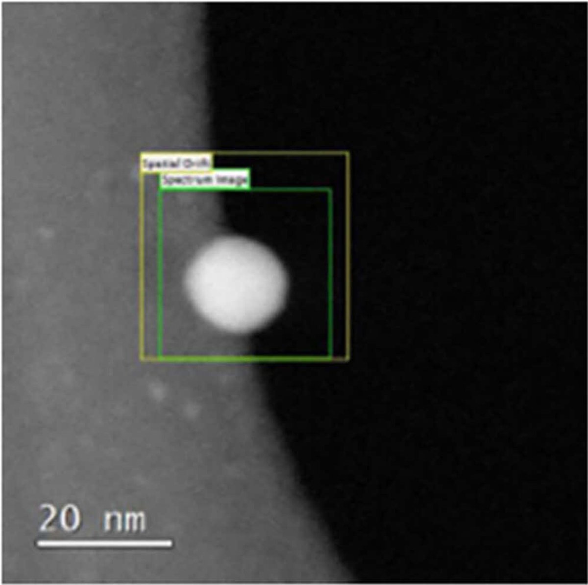EVQ-218 exposed to AgNO₃ shows altered morphology and finalization.