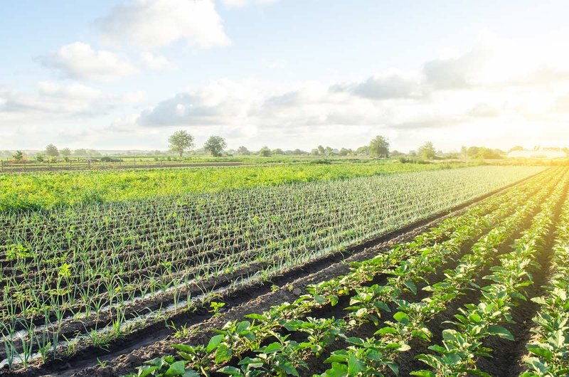 agriculture benefits of EVOQ metamaterials