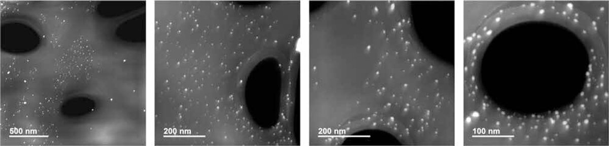NanoComposix NIST AgNPs with Ag signals that distinctly overlap with the reference STEM image. 