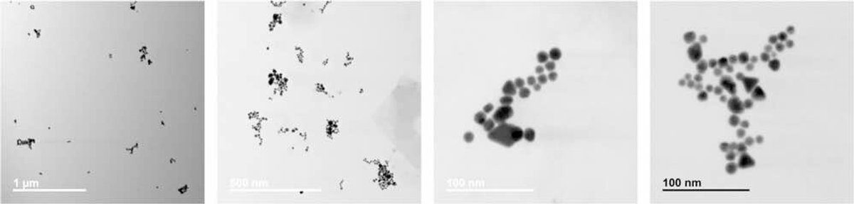 STEM images of precipitate from nanoComposix NIST AgNPs exposed to MHW