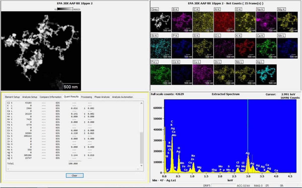 EDS mapping of mineral-exposed nanoComposix NIST AgNPs with Ag signals that distinctly overlap with the reference STEM image