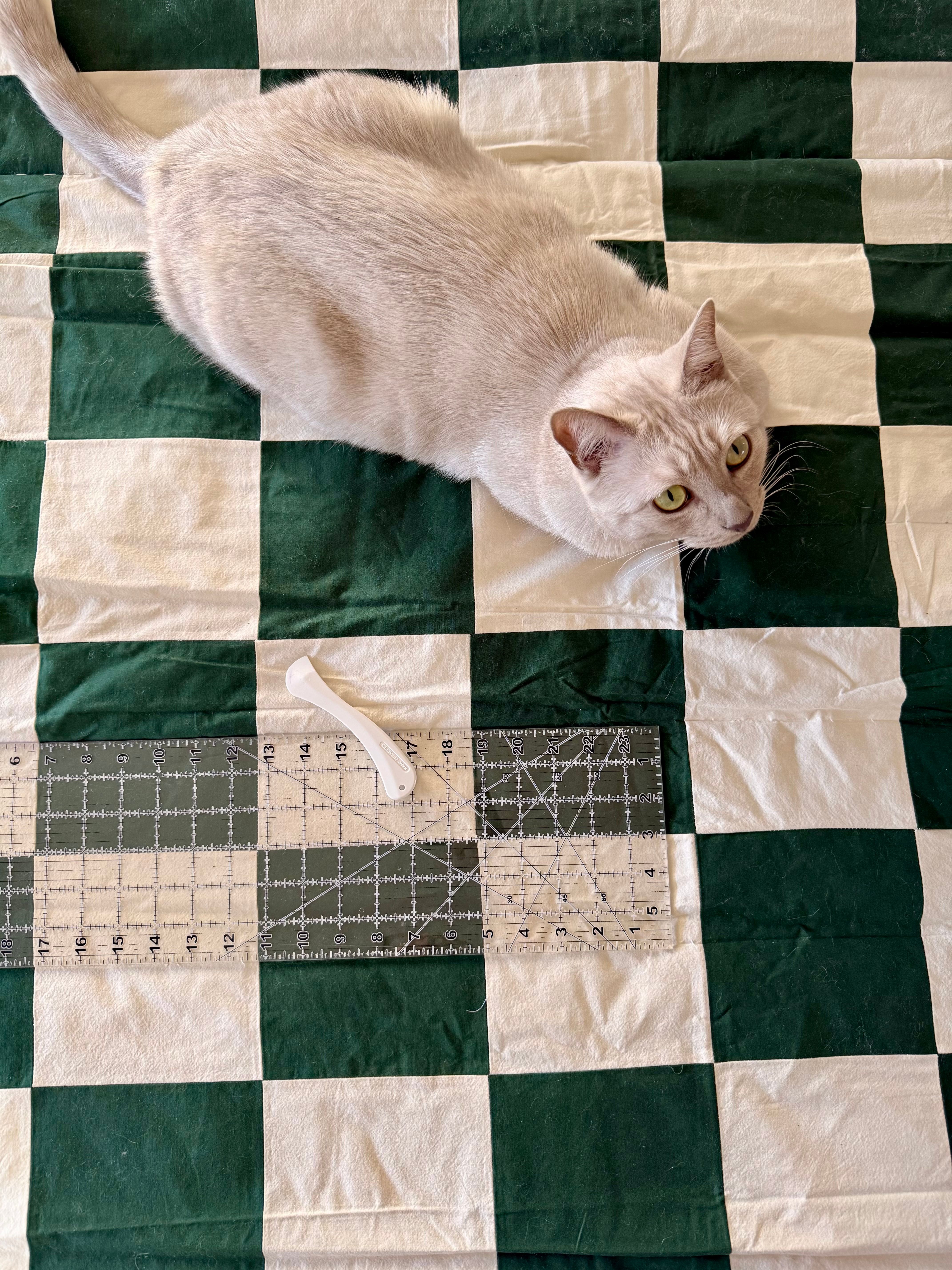 Cat on Athens Quilt
