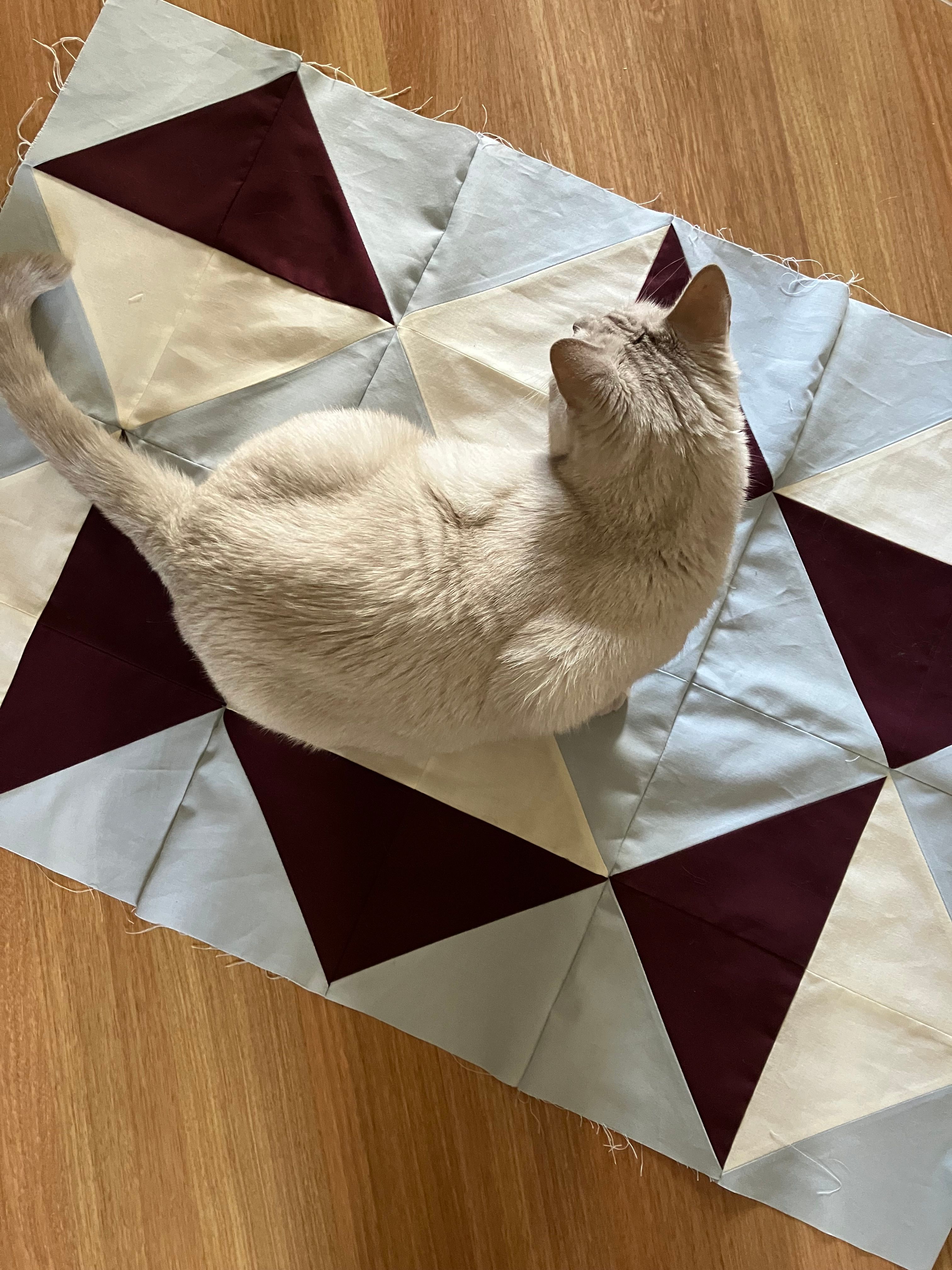 Sofie Quilt WIP