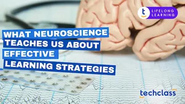 What Neuroscience Teaches Us About Effective Learning Strategies