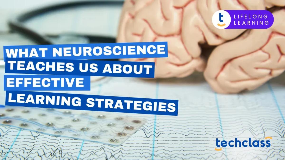 What Neuroscience Teaches Us About Effective Learning Strategies