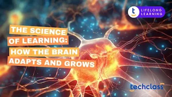 The Science of Learning: Understanding How the Brain Adapts and Grows