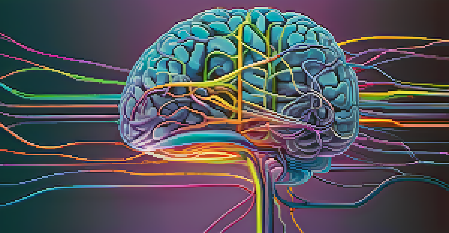 An artistic illustration of the brain's default mode network with glowing nodes and pathways, in vibrant colors.