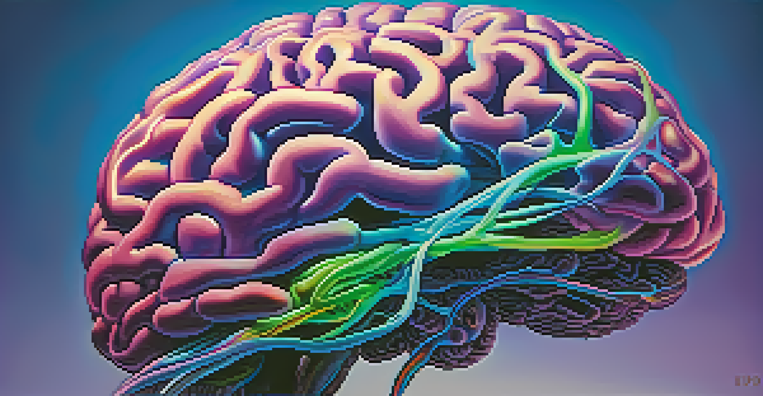 An abstract colorful illustration of the brain with neural connections, representing neuroplasticity and emotional processing.