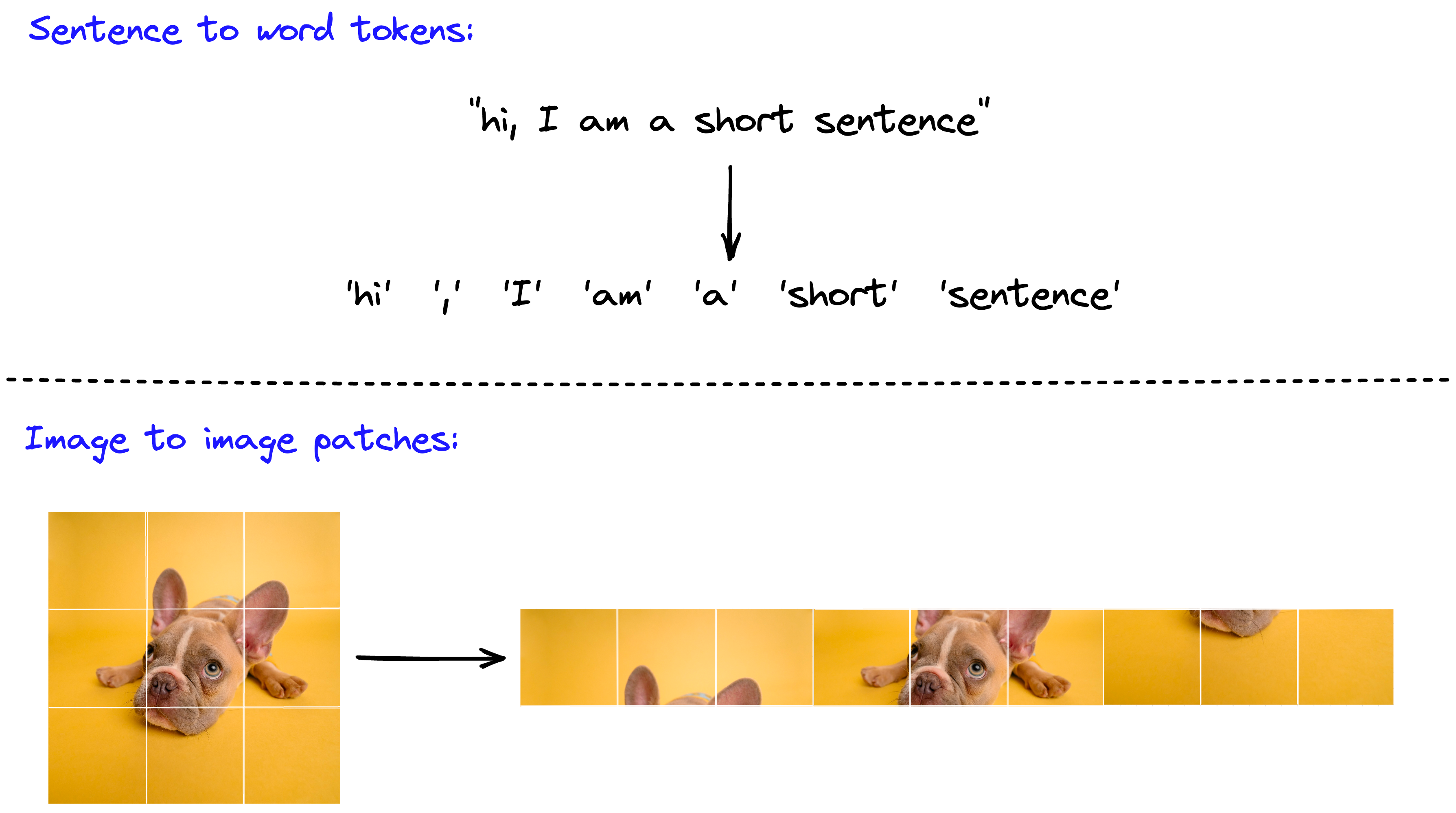 NLP transformers and ViT both split larger sequences (sentences or images) into tokens or patches.
