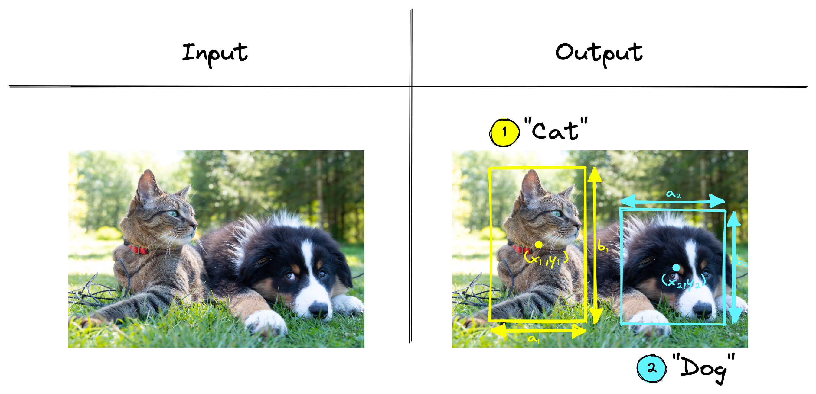 (1) Object localized and classified as "cat" and (2) object localized and classified as "dog".