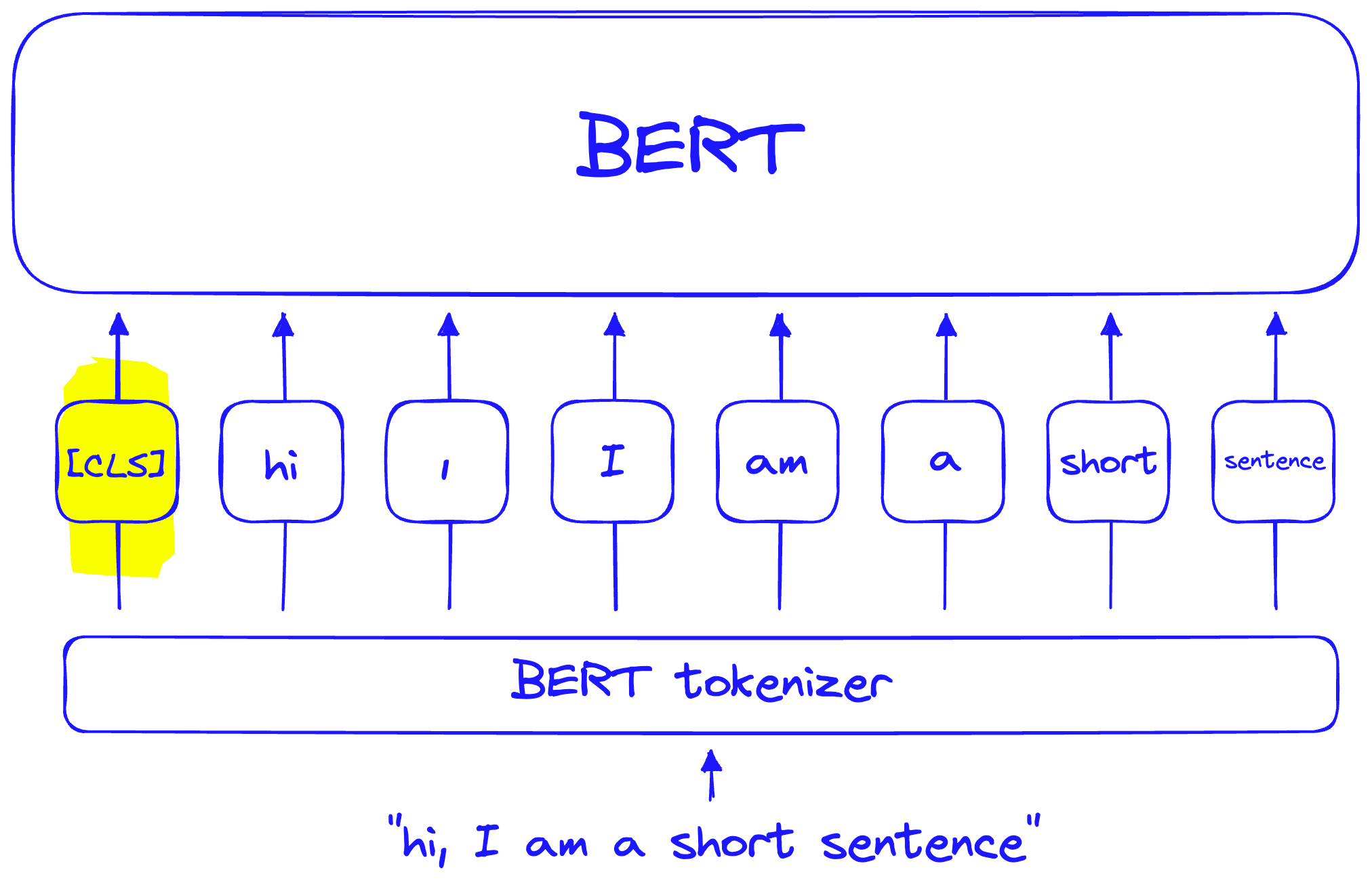 The BERT [CLS] token is preappended to every sequence.
