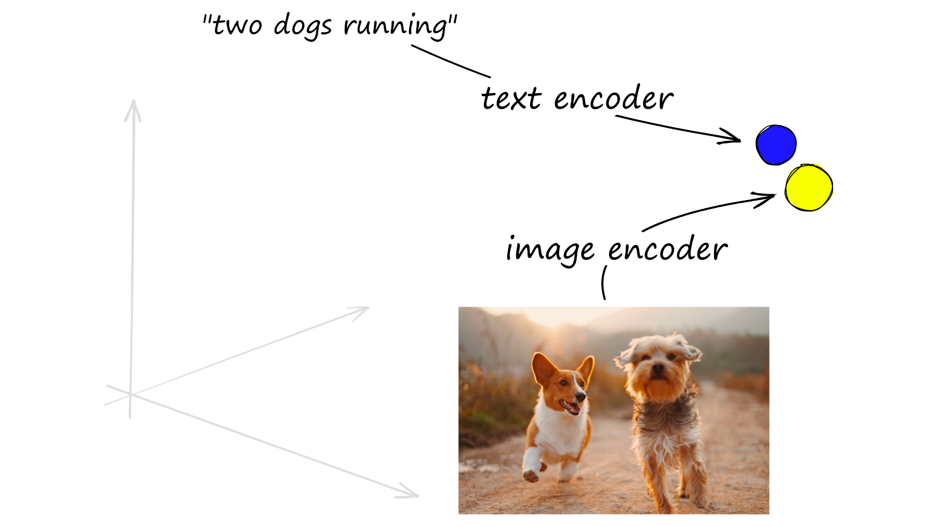Using specific text and image encoders, we can encode text and images to the same vector space. Photo credit Alvan Nee.