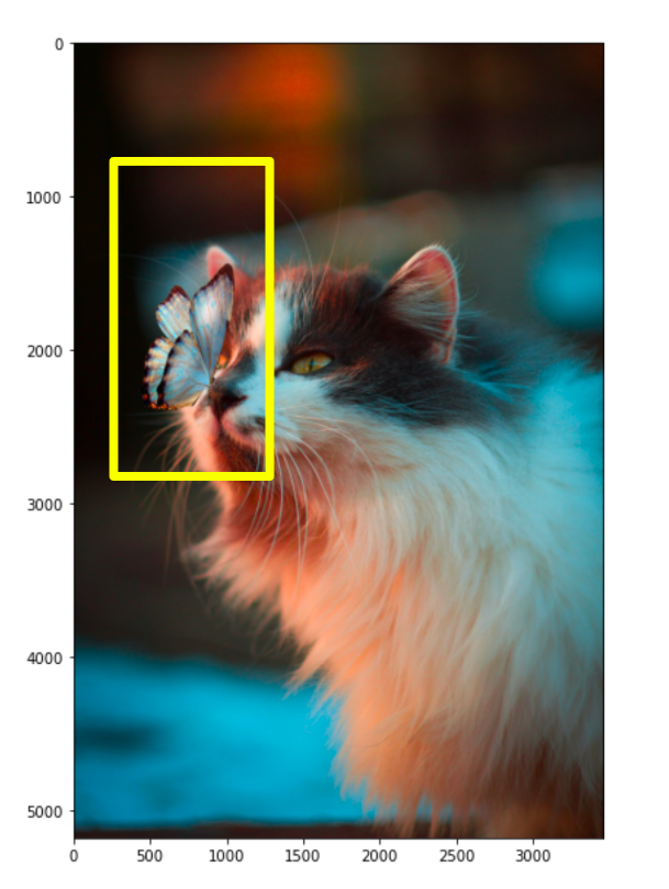 We can use the scored patches of the image to find a bounding box that encapsulates the object of interest.