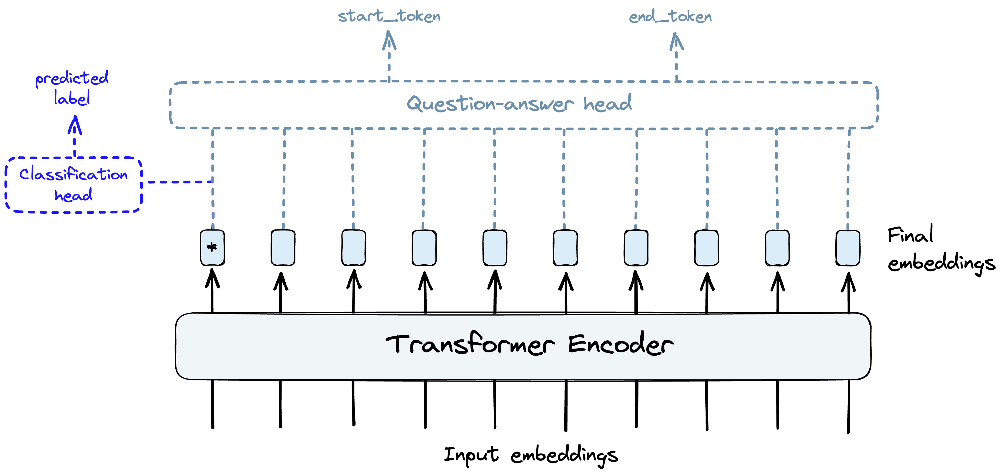 Example of a transformer encoder building information-rich final embeddings before passing these on to a task-specific “head”.