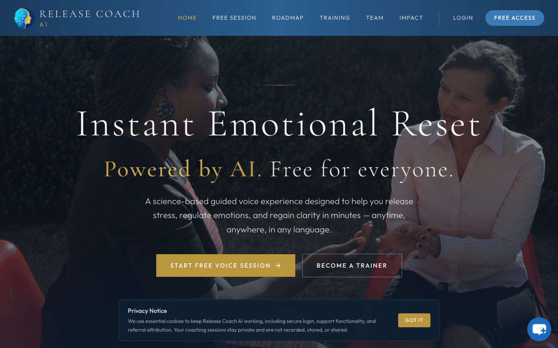 Release Coach AI product interface