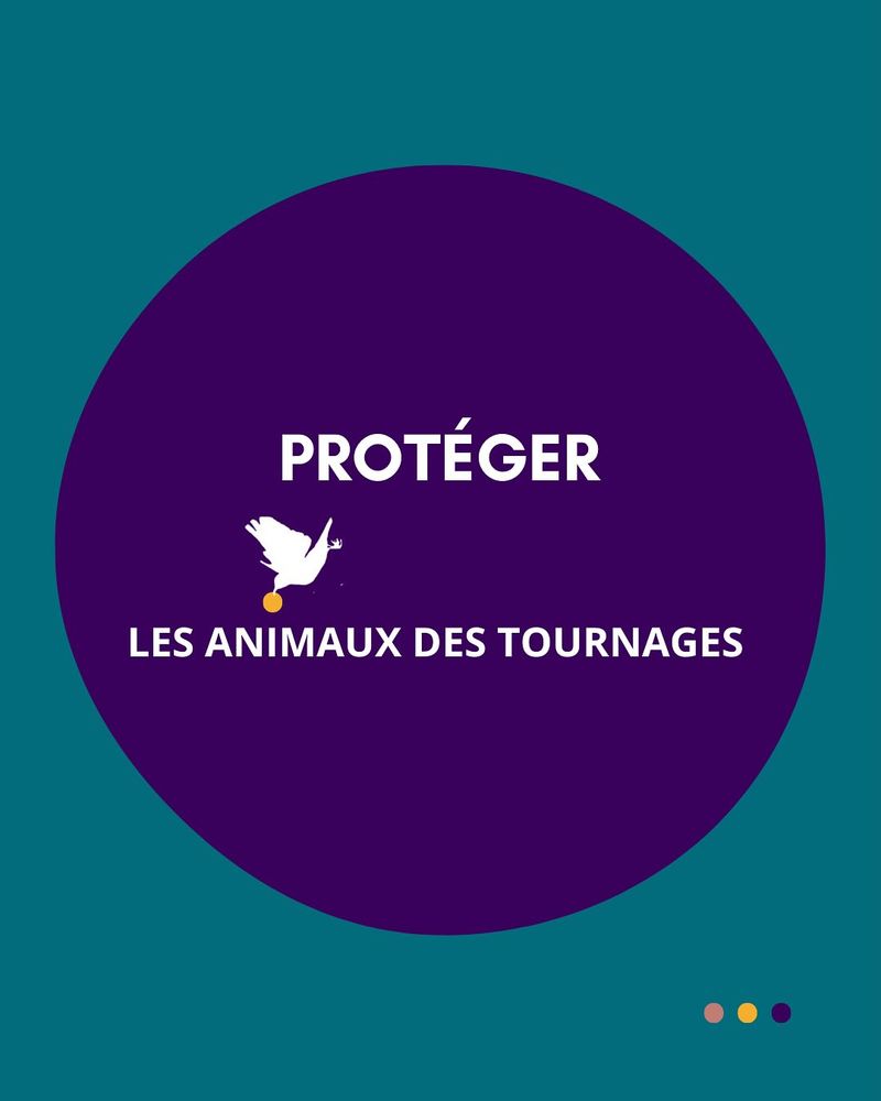 Publication : protéger les animaux des tournages